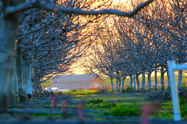 在线手机号轰炸软件