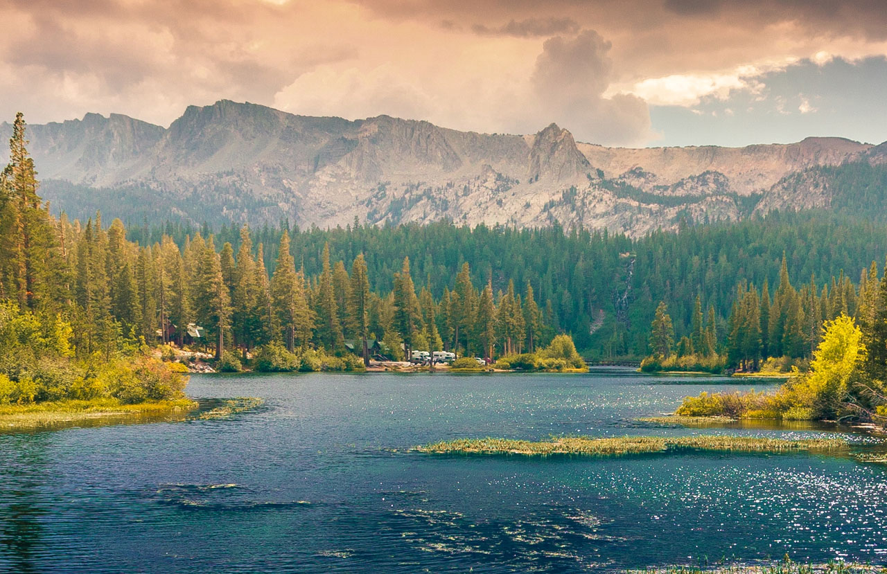 短信在线云呼轰炸